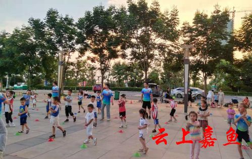 嘉魚市民休閑新風尚 健身運動與場地設施經營共贏