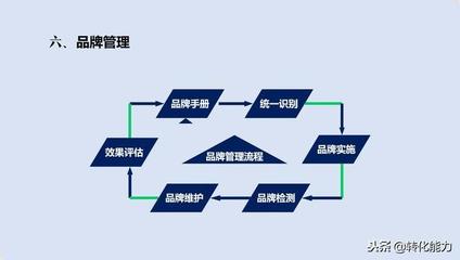 品牌 從定義到實(shí)戰(zhàn)——品牌策劃、管理與運(yùn)營的全維度指南